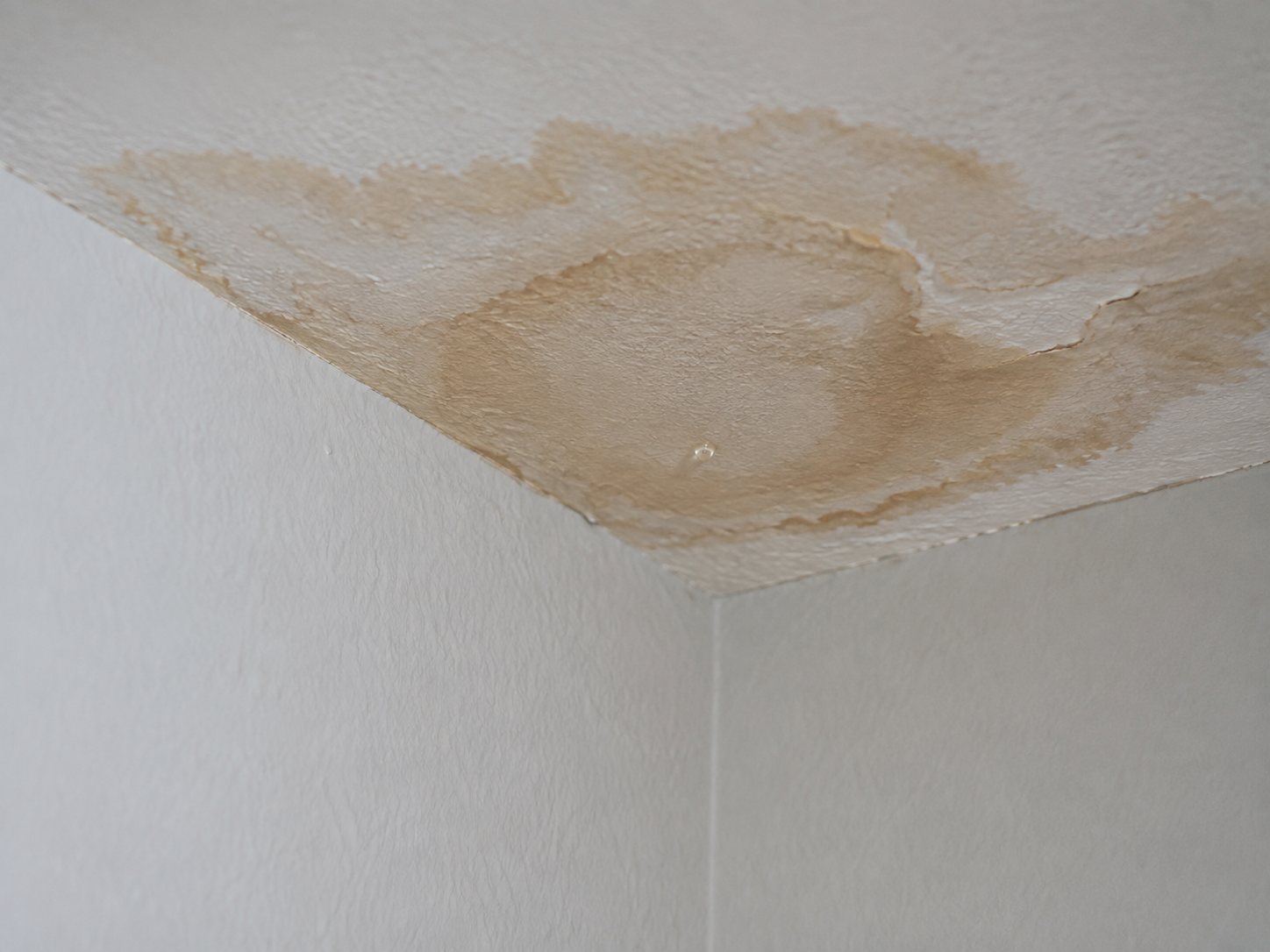 Water stain on a ceiling from a hidden plumbing leak
