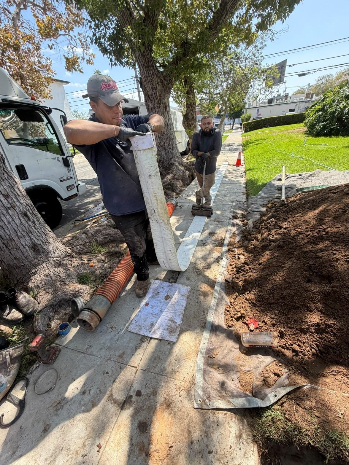 Workers installing pipe liner in sidewalk trench near tree roots