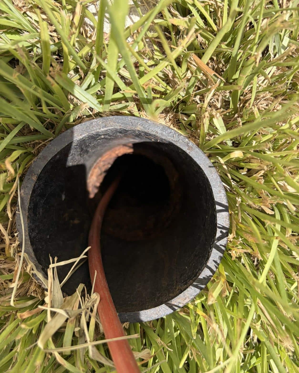 Sewer Line Camera Inspection Finds Root and Debris Blockages